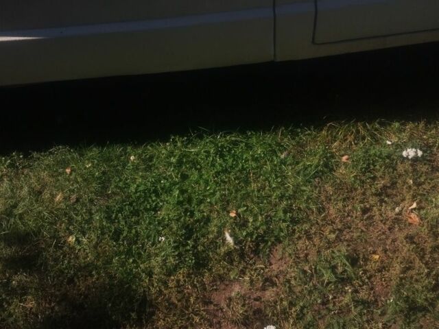 Белый Рено Трафик, объемом двигателя 2 л и пробегом 500 тыс. км за 2439 $, фото 7 на Automoto.ua