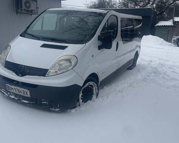 Белый Рено Трафик, объемом двигателя 2 л и пробегом 430 тыс. км за 8600 $, фото 10 на Automoto.ua
