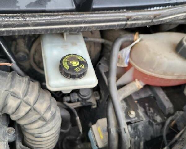 Рено Трафик 2011 в Ровно на Automoto.ua Белый Рено Трафик, объемом двигателя 2 л и пробегом 402 тыс. км за 11200 $, фото 30 на Automoto.ua