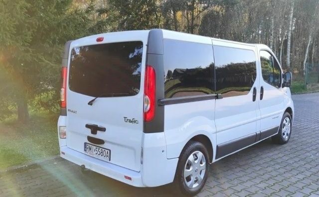 Белый Рено Трафик, объемом двигателя 2 л и пробегом 267 тыс. км за 9000 $, фото 8 на Automoto.ua