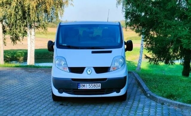 Белый Рено Трафик, объемом двигателя 2 л и пробегом 267 тыс. км за 9000 $, фото 19 на Automoto.ua