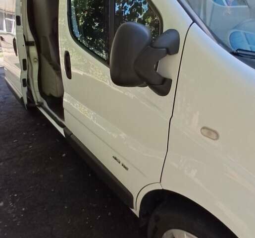 Білий Рено Трафік, об'ємом двигуна 2 л та пробігом 255 тис. км за 14300 $, фото 35 на Automoto.ua