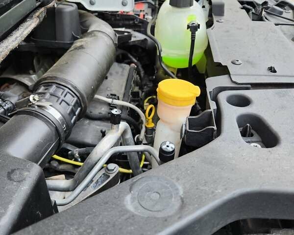 Белый Рено Трафик, объемом двигателя 2 л и пробегом 21 тыс. км за 29900 $, фото 41 на Automoto.ua