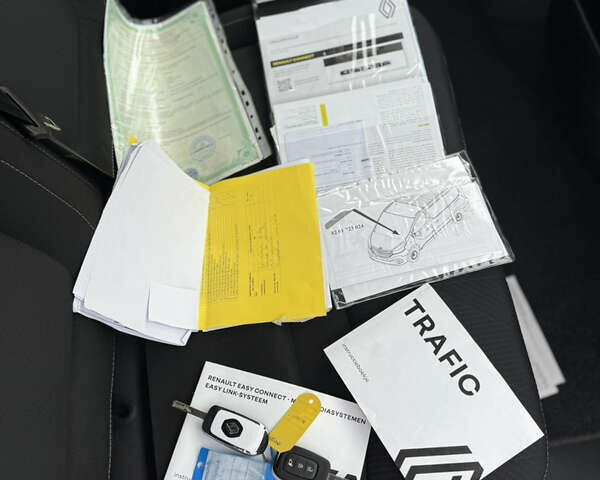 Белый Рено Трафик, объемом двигателя 2 л и пробегом 63 тыс. км за 32650 $, фото 107 на Automoto.ua