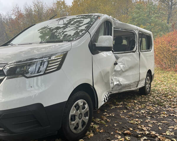 Білий Рено Трафік, об'ємом двигуна 0 л та пробігом 33 тис. км за 26300 $, фото 2 на Automoto.ua