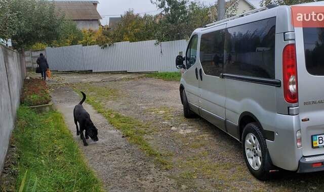 Серый Рено Трафик, объемом двигателя 2 л и пробегом 369 тыс. км за 9700 $, фото 13 на Automoto.ua