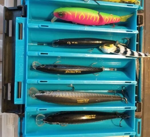 Білий Рено Зое, об'ємом двигуна 0 л та пробігом 153 тис. км за 500 $, фото 13 на Automoto.ua