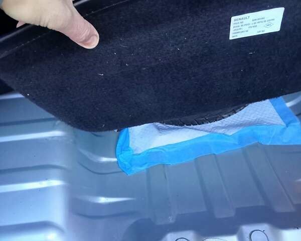 Сірий Рено Clio Symbol, об'ємом двигуна 1.4 л та пробігом 54 тис. км за 5600 $, фото 16 на Automoto.ua