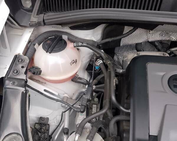 Белый Сеат Альхамбра, объемом двигателя 1.97 л и пробегом 176 тыс. км за 14700 $, фото 32 на Automoto.ua