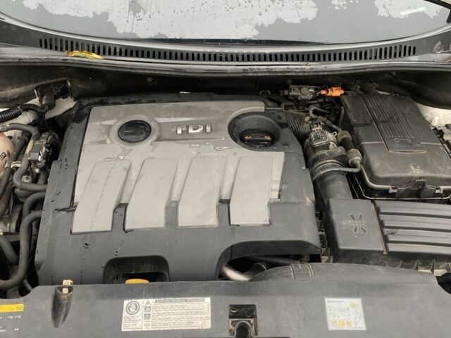 Белый Сеат Алтеа, объемом двигателя 1.6 л и пробегом 238 тыс. км за 9500 $, фото 20 на Automoto.ua