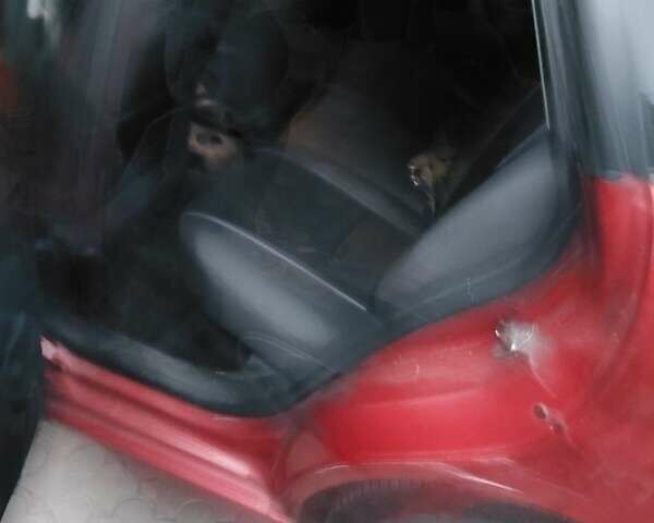 Сеат Кордоба 2008 в Днепре (Днепропетровске) на Automoto.ua Красный Сеат Кордоба, объемом двигателя 2 л и пробегом 245 тыс. км за 4500 $, фото 1 на Automoto.ua