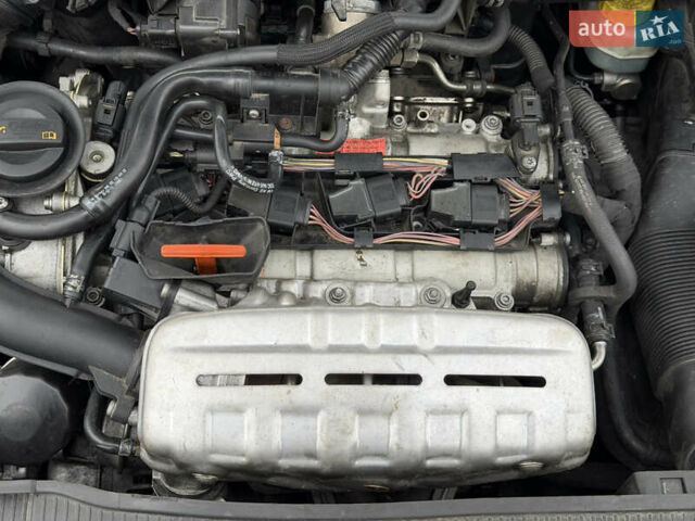 Белый Сеат Ибица, объемом двигателя 1.4 л и пробегом 198 тыс. км за 8111 $, фото 64 на Automoto.ua