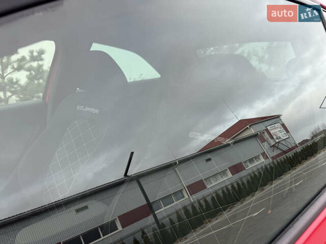 Червоний Сеат Ibiza, об'ємом двигуна 1.4 л та пробігом 206 тис. км за 6999 $, фото 10 на Automoto.ua