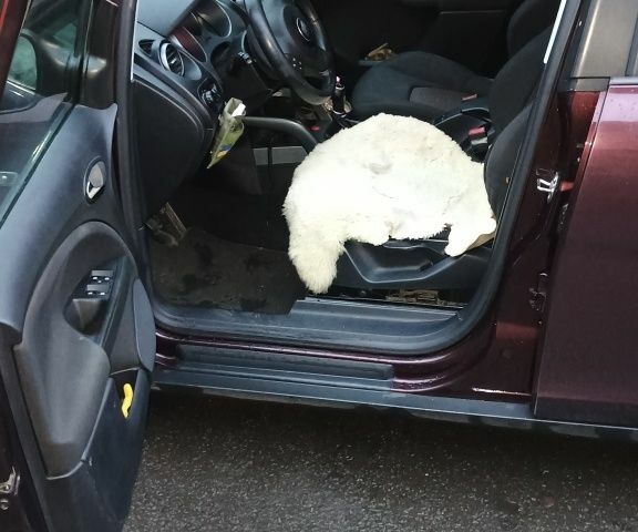 Красный Сеат Altea XL, объемом двигателя 2 л и пробегом 360 тыс. км за 5500 $, фото 7 на Automoto.ua