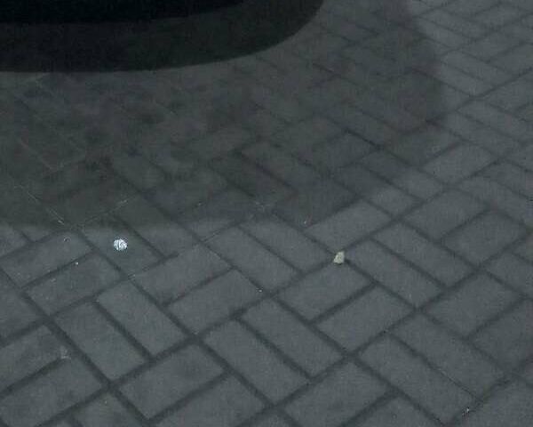 Сеат Altea XL, объемом двигателя 1.6 л и пробегом 190 тыс. км за 6000 $, фото 1 на Automoto.ua