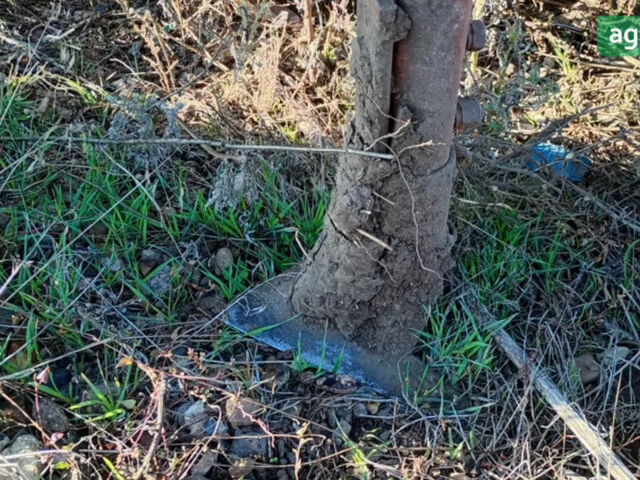 СЗС 2.1, об'ємом двигуна 0 л та пробігом 0 тис. км за 1941 $, фото 5 на Automoto.ua