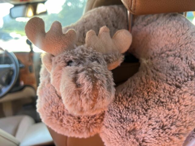 Серый Сааб Аэро, объемом двигателя 2.3 л и пробегом 333 тыс. км за 6200 $, фото 16 на Automoto.ua