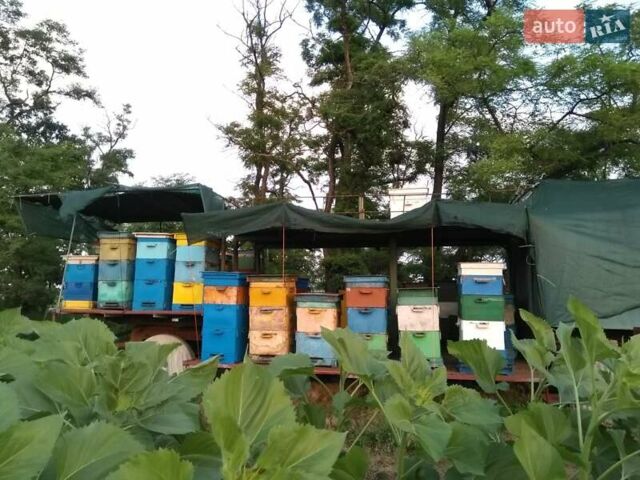 Самодельный Самодельный, объемом двигателя 0 л и пробегом 0 тыс. км за 3614 $, фото 1 на Automoto.ua