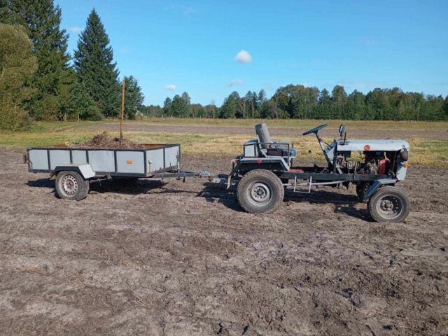 Сірий Саморобний Саморобний, об'ємом двигуна 0 л та пробігом 10 тис. км за 1538 $, фото 8 на Automoto.ua