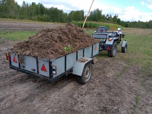 Сірий Саморобний Саморобний, об'ємом двигуна 0 л та пробігом 10 тис. км за 1538 $, фото 7 на Automoto.ua