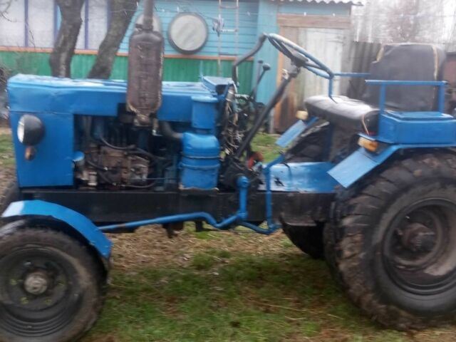 Синий Самодельный Самодельный, объемом двигателя 0 л и пробегом 10 тыс. км за 1890 $, фото 2 на Automoto.ua