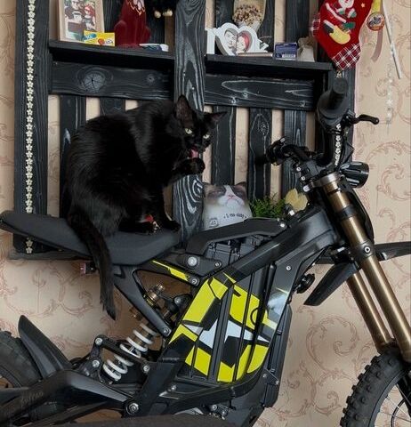 Самодельный Другая, объемом двигателя 0.3 л и пробегом 0 тыс. км за 4317 $, фото 3 на Automoto.ua