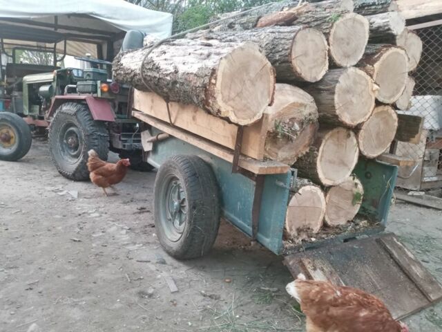 Саморобний Інша, об'ємом двигуна 0 л та пробігом 0 тис. км за 1300 $, фото 2 на Automoto.ua