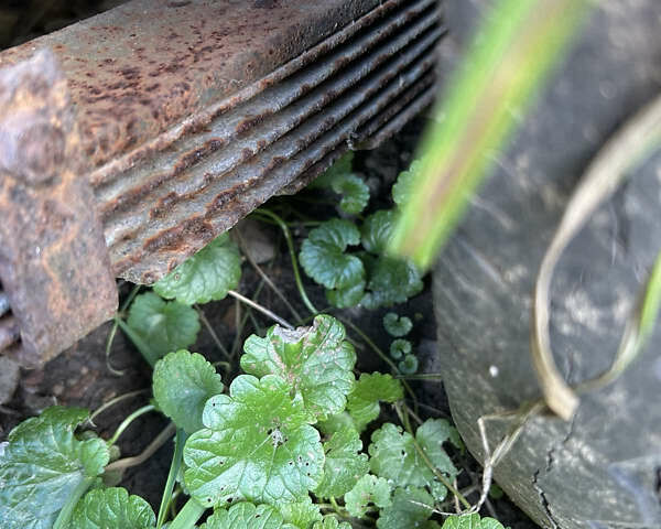 Самодельный Саморобний причіп, объемом двигателя 0 л и пробегом 0 тыс. км за 1000 $, фото 4 на Automoto.ua