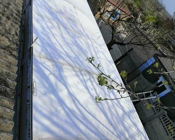 Самро RE 1999 в Белозерке на Automoto.ua Красный Самро RE, объемом двигателя 0 л и пробегом 10 тыс. км за 5000 $, фото 3 на Automoto.ua