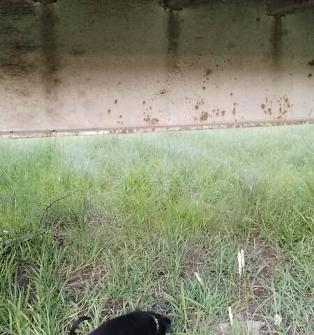 Самро C, объемом двигателя 0 л и пробегом 0 тыс. км за 1400 $, фото 3 на Automoto.ua