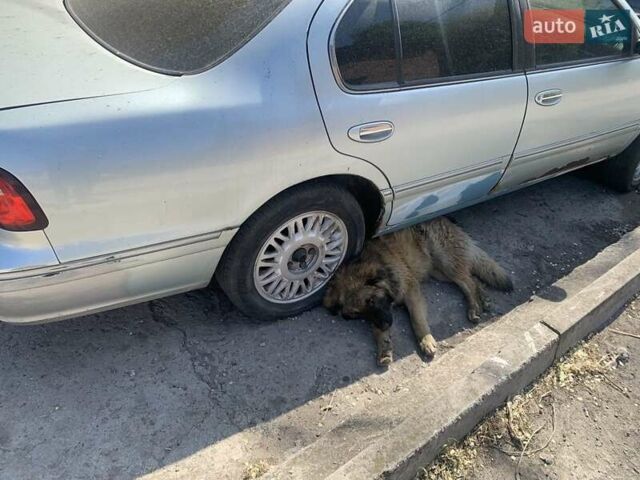 Синий Самсунг СМ5, объемом двигателя 2.5 л и пробегом 10 тыс. км за 3000 $, фото 7 на Automoto.ua
