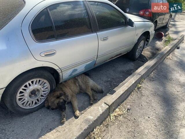 Синий Самсунг СМ5, объемом двигателя 2.5 л и пробегом 10 тыс. км за 3000 $, фото 8 на Automoto.ua