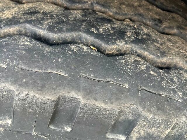 Красный Сканиа Р, объемом двигателя 11 л и пробегом 0 тыс. км за 25000 $, фото 3 на Automoto.ua