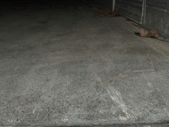 Сканиа Другая, объемом двигателя 0 л и пробегом 0 тыс. км за 3500 $, фото 5 на Automoto.ua