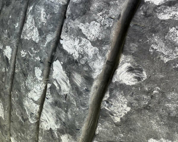Серый Шмитц Каргобулл C01, объемом двигателя 0 л и пробегом 0 тыс. км за 8200 $, фото 23 на Automoto.ua