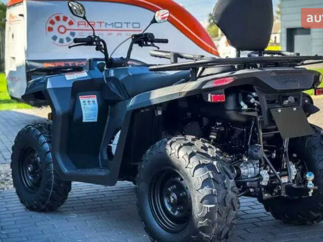 Сегвей Snarler, объемом двигателя 0.5 л и пробегом 0 тыс. км за 6650 $, фото 7 на Automoto.ua