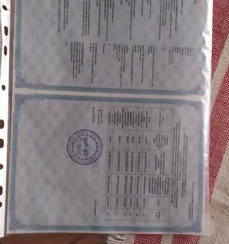 Чорний Шанрай 200, об'ємом двигуна 0 л та пробігом 1 тис. км за 1000 $, фото 5 на Automoto.ua