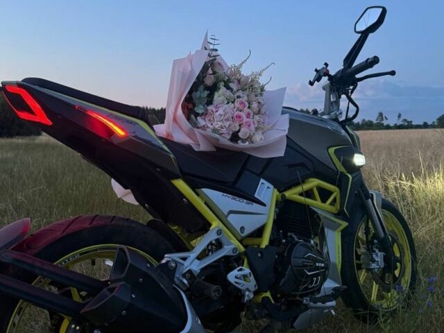 Шанрай 3302, объемом двигателя 0.3 л и пробегом 0 тыс. км за 58000 $, фото 3 на Automoto.ua