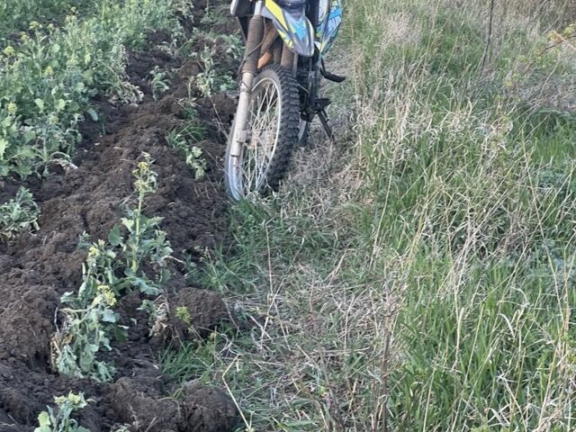 Шанрай Другая, объемом двигателя 0.25 л и пробегом 0 тыс. км за 900 $, фото 7 на Automoto.ua