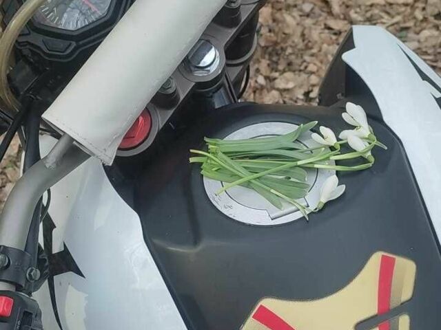 Шанрай Другая, об'ємом двигуна 0.25 л та пробігом 0 тис. км за 1450 $, фото 3 на Automoto.ua