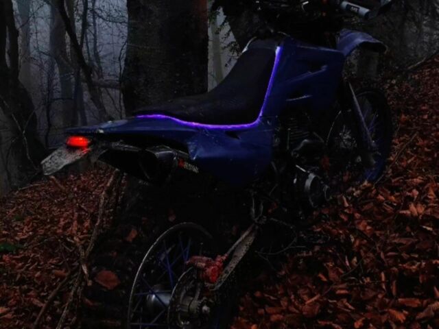 Шанрай Другая, об'ємом двигуна 0.25 л та пробігом 0 тис. км за 1350 $, фото 4 на Automoto.ua