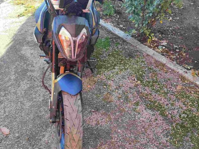 Шанрай Другая 2025 в Запорожье на Automoto.ua Шанрай Другая, объемом двигателя 0.3 л и пробегом 0 тыс. км за 1669 $, фото 2 на Automoto.ua