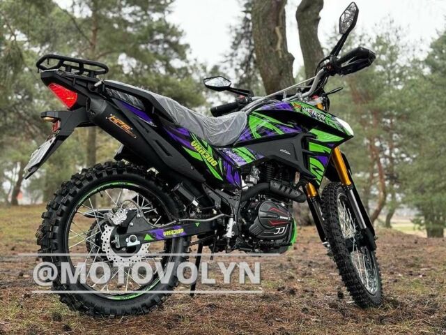 Шанрай VXR 300, об'ємом двигуна 0.3 л та пробігом 0 тис. км за 1665 $, фото 5 на Automoto.ua