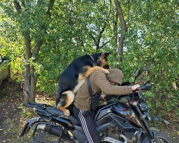 Шанрай X-Trail 250 2021 у Сумах на Automoto.ua Чорний Шанрай X-Trail 250, об'ємом двигуна 0.25 л та пробігом 18 тис. км за 1475 $, фото 3 на Automoto.ua