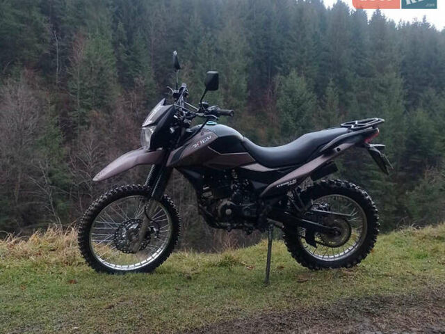 Коричневый Шанрай XY250GY-6С, объемом двигателя 0.15 л и пробегом 1 тыс. км за 1400 $, фото 4 на Automoto.ua