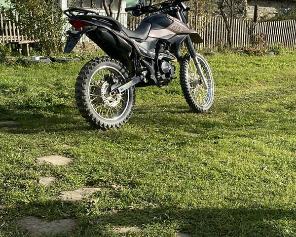 Серый Шанрай XY 250GY-6C, объемом двигателя 0.25 л и пробегом 730 тыс. км за 1300 $, фото 10 на Automoto.ua