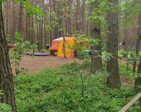 Серый Скиф М1, объемом двигателя 0 л и пробегом 30 тыс. км за 800 $, фото 2 на Automoto.ua