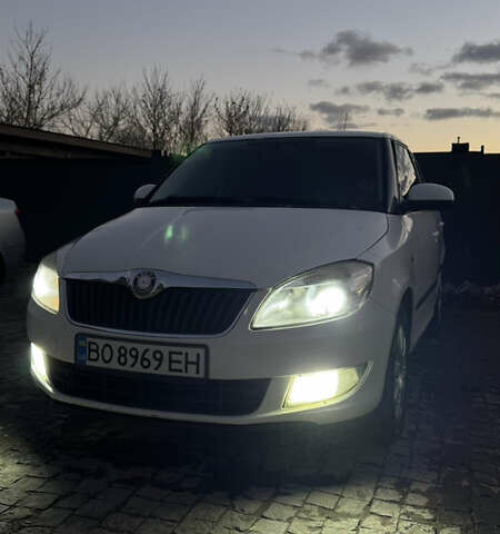 Белый Шкода Фабия, объемом двигателя 1.6 л и пробегом 294 тыс. км за 4700 $, фото 10 на Automoto.ua