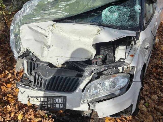 Білий Шкода Фабія, об'ємом двигуна 1.2 л та пробігом 209 тис. км за 2500 $, фото 3 на Automoto.ua