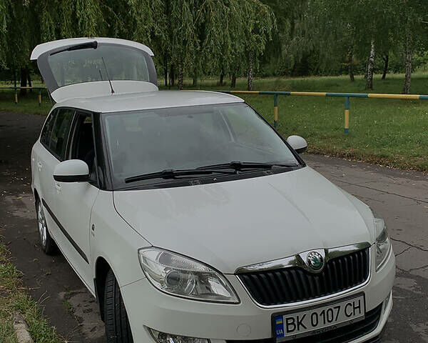 Белый Шкода Фабия, объемом двигателя 1.6 л и пробегом 252 тыс. км за 6000 $, фото 13 на Automoto.ua